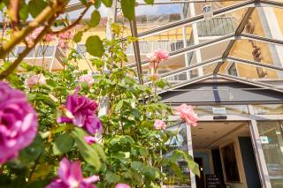 Hotel Innsento - Health Campus Passau - Passavia - 3