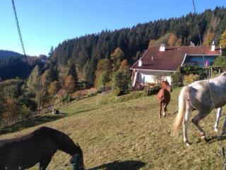 Charmant gîte avec terrasse, WiFi et garage moto à Gérardmer - FR-1-589-133 - 6
