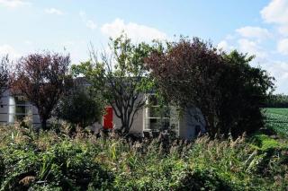 Wilhelminalaan 43a, Mondriaan - Vrouwenpolder - 9