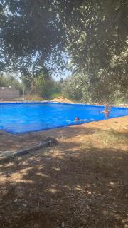 Bright stars rum camp - 3