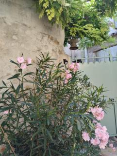 Chez les filles - Dions - 1