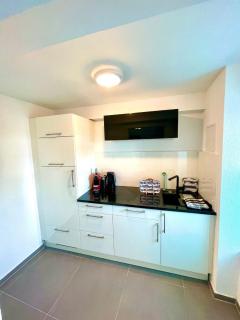 Ferienwohnung direkt am Bodensee / Untersee nahe Konstanz - Berlingen - 7