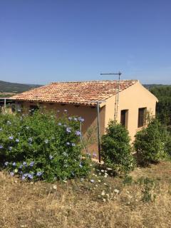 Dolce riposo - Olbia - 0