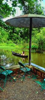 Greenie Holiday's - Alleppey - 4