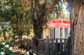 U Pezzo - Saint-Florent - 7