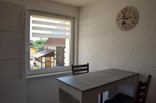 Ferienwohnungen Straußenfarm Burkhardt - Schmölln - 2