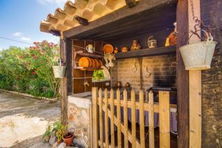 Ideal Property Mallorca - Puri - 2