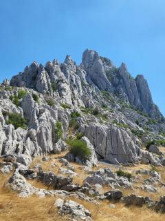 Ambiente - Jasenice - 4