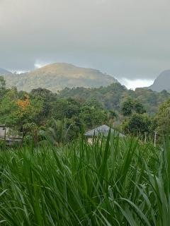 Nostalgia Homestay - Vythiri - 9