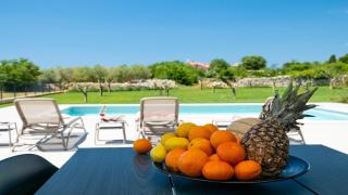 Modern and stylish villa in Vodnjan - Vodnjan - 2