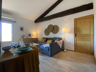 Mone - La Maison Racine 1 - Duplex avec terrasse - Avignon - 5