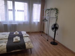 Madách Central Apartment - 4