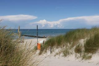 Strandhaus Jonathan 2 EG - Wustrow - 4