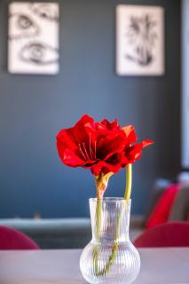 Spacious Penthouse with Massive Terrace - Valência - 3