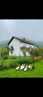 Villa Pliva - Jezero - 3