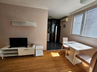 Morning Wood - Panorama - 6