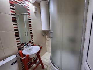 Morning Wood - Panorama - 3