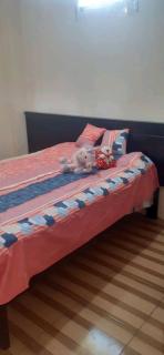 Casas campestre en un lugar encantador a las faldas del Taita Imbabura - 5