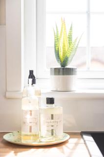 Apartment No16 - Inverness - 6