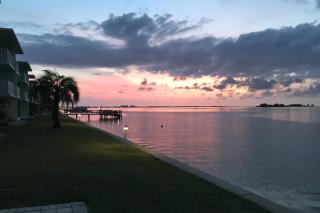 Dolphins Playground - 9