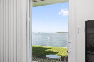 Dolphins Playground - 3