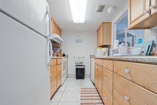 Dolphins Playground - 2