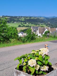 Gite puy Chavaroche met uniek uitzicht - Saint-Cernin - 8