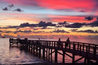 Catch the Breeze on Crystal Beach - Palm Harbor - 0