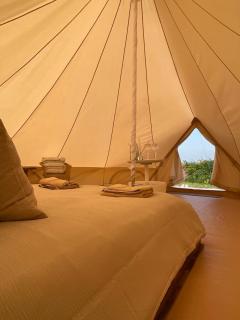 Wheeldon Escapes - Totnes - 7