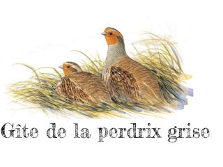 Charmante maison de campagne avec jardin privé, près de Paris et Orléans, idéale pour familles - FR-1-590-136 - 8