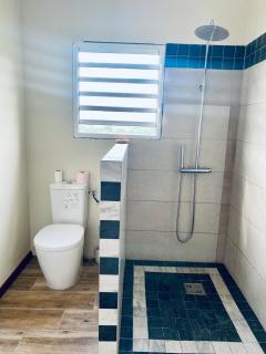 Chambre et SDB privative Ylang Ylang vue Mont Pelée dans maison partagée - Le Morne Rouge - 7