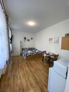 Cozy 1 BR studio in the center of Pilsen - Plzeň - 0