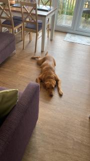 Hare Lodge with Hot Tub - 3