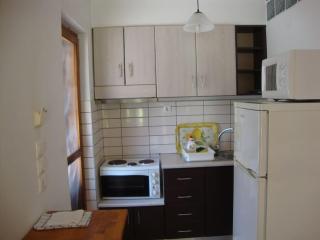 Dimitris - House Maria Manolaki - Ground Floor Studio - Vourvourou - 6