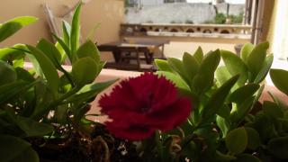 B&B Vico Vacanze - 8