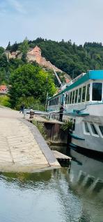 Natur und Neckarblick bei Heidelberg - Hirschhorn - 8