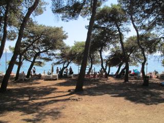 Apartments Niksa - 3