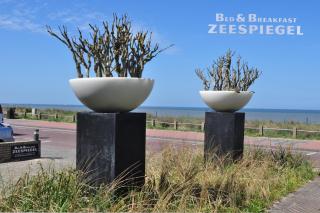 B&B Zeespiegel - Zandvoort - 0