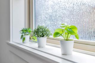 Minimal - 90 nights min - 1