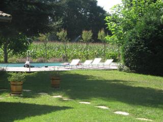 Maison avec piscine proche Contis plage (LANDES) - Saint-Julien-en-Born - 7