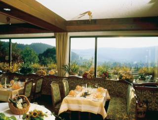 Heidehotel Hildfeld - Winterberg - 8