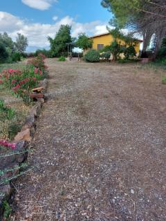Agriturismo I 13 Pini di Putzu Anna Maria - Giba - 0