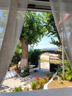 Asmini Beach Apartments - Asmínion - 5