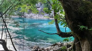 TARA RIVER HOUSE - - 2