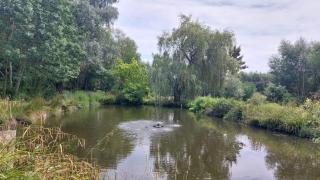 Vakantiewoning Den Appel - Dendermonde - 7