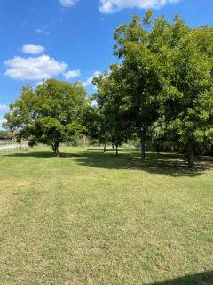 Pet Friendly Graham Home Route 66 at The Mistletoe Farm - 7