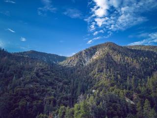 Spectacular Designer Treehouse with Mountain Views - Pine Mountain Club - 2