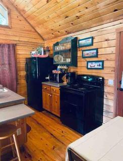 The Loft at Bear Mountain log cabins - Eureka Springs - 8