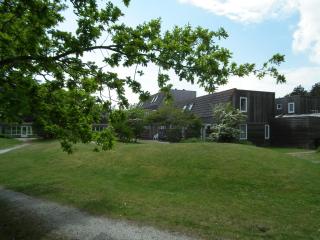 Hollumerstrand - Hollum - 7