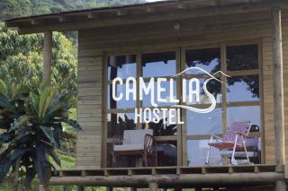 Camelia Hostel - San Carlos - 0
